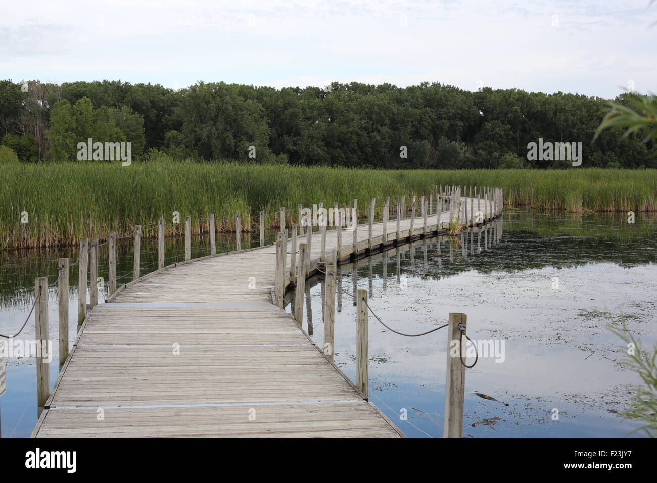 A walkway over a lake at Wood Lake Nature Center in Richfield, Minnesota. Stock Photo