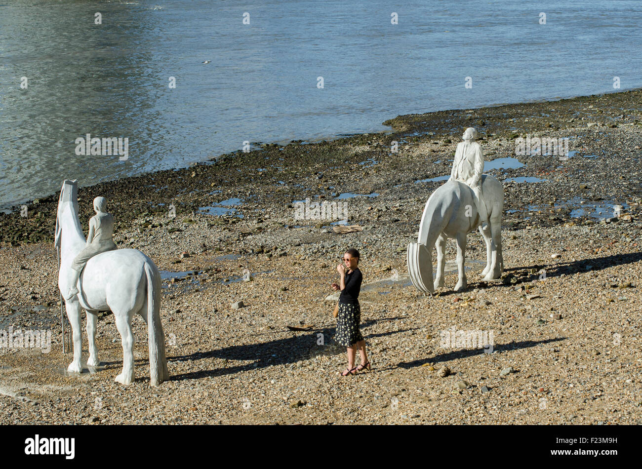 Jason taylor horses hires stock photography and images Alamy