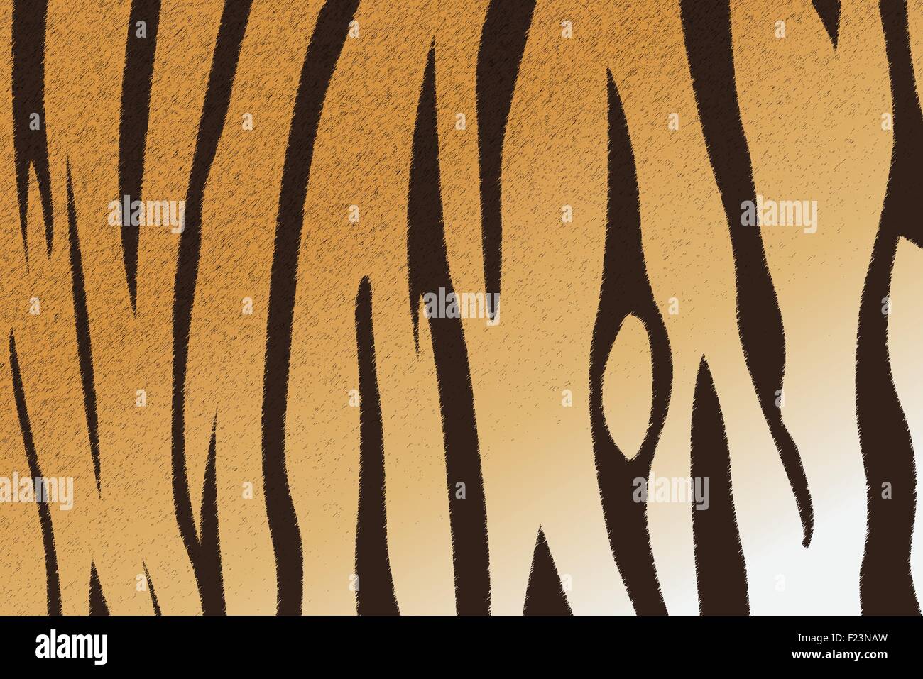 Vector illustration of bengal tiger stripe pattern Stock Vector Image ...