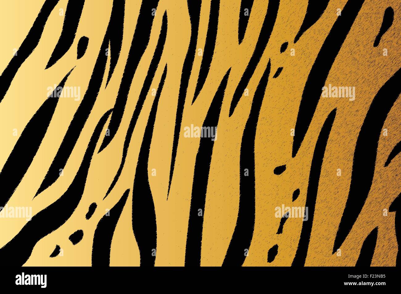 Vector illustration of bengal tiger stripe pattern Stock Vector Image ...
