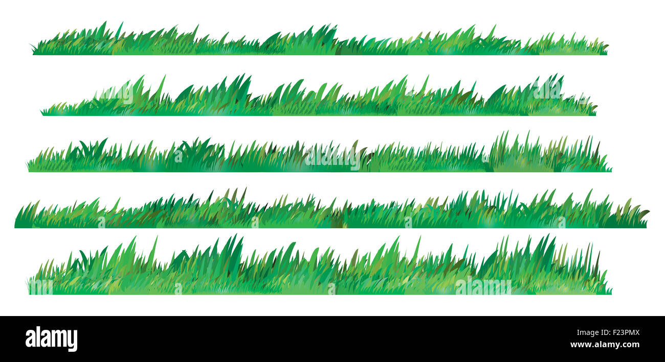 Green Grass Set, Isolated On White Background, Vector Illustration ...