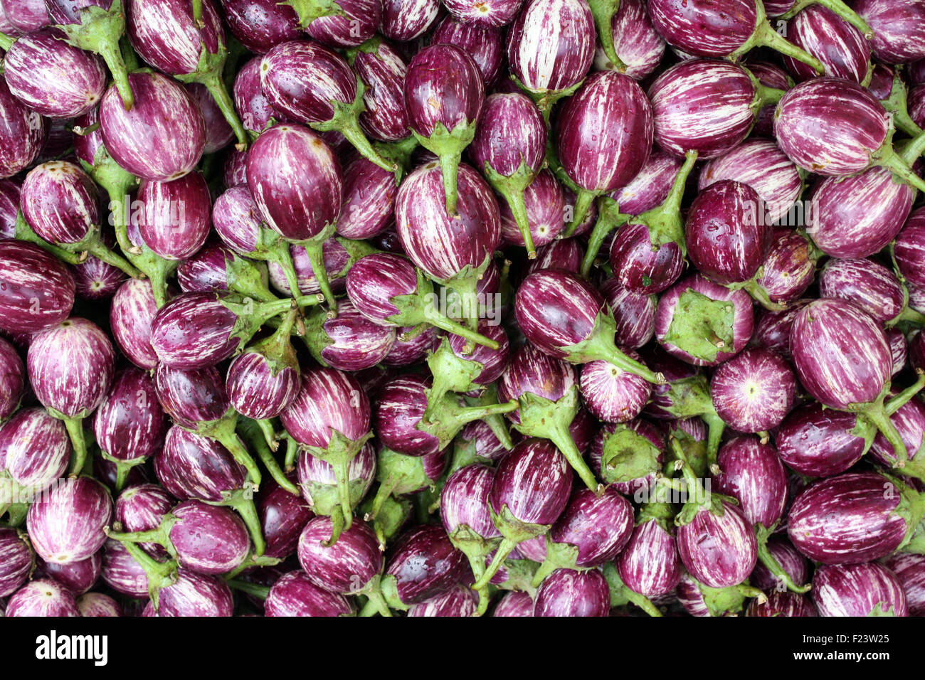 Brinjal color colour hi-res stock photography and images - Alamy