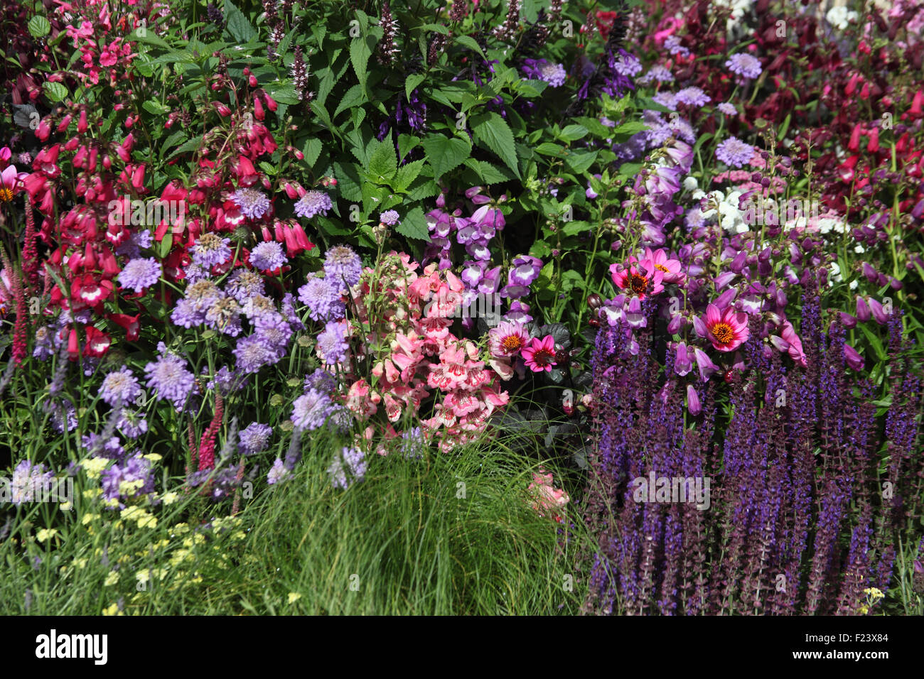 Mixed flower border hires stock photography and images Alamy