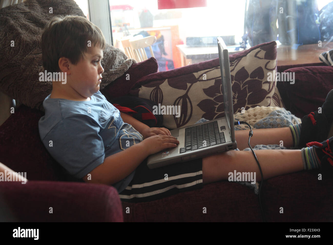 Young boy using laptop computer Stock Photo