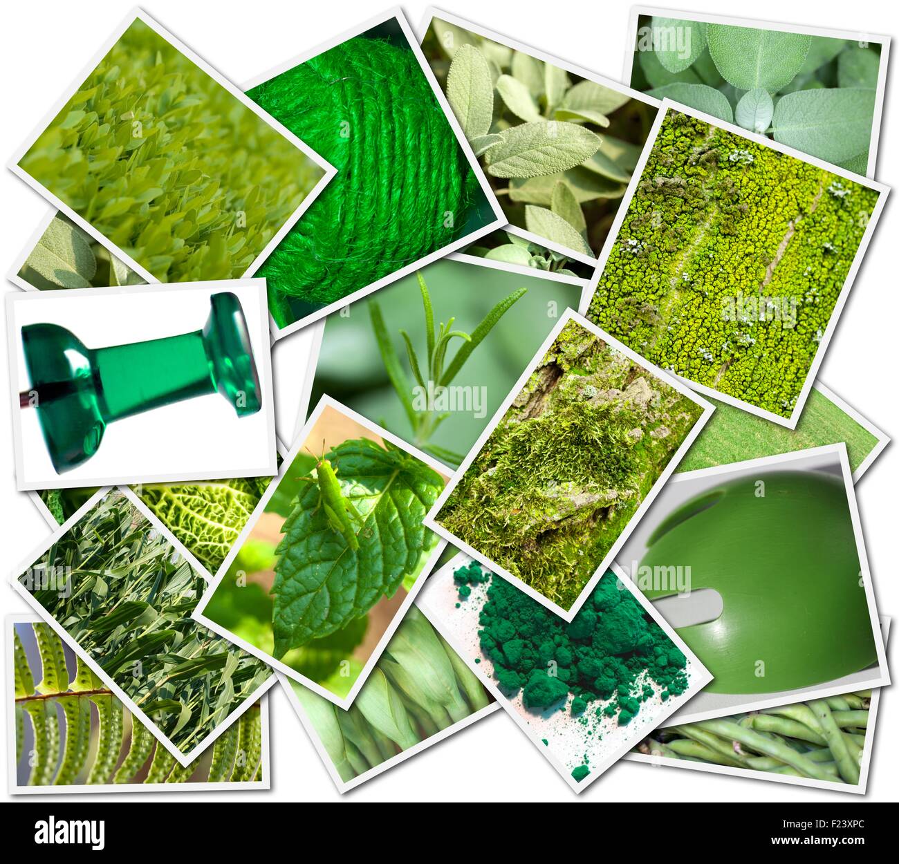 Photo's collage with green objects Stock Photo Alamy