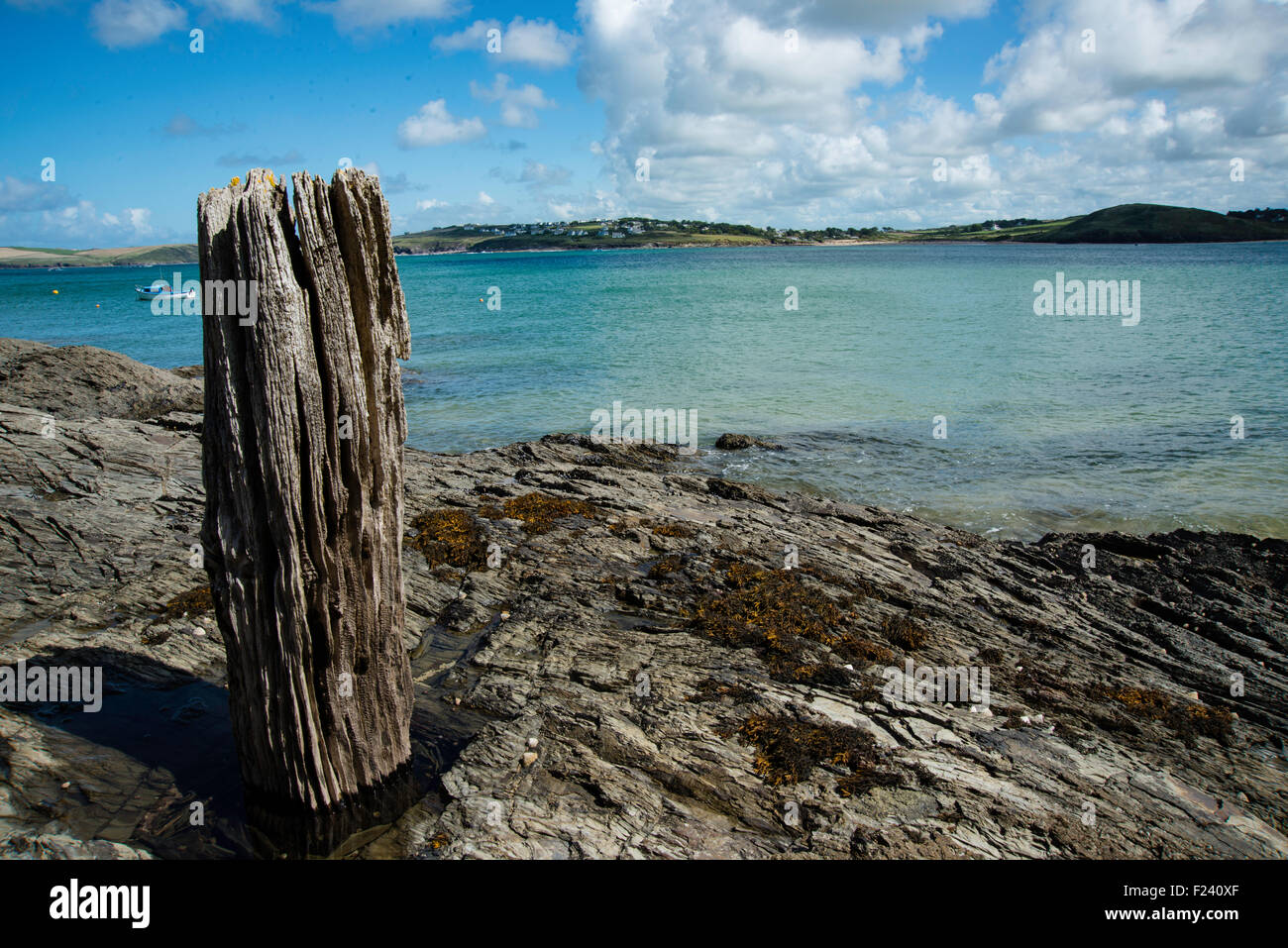 Old wooden mooring post at Hawker Cove on Eastern side of The Camel estuary in North Cornwall. Stock Photo