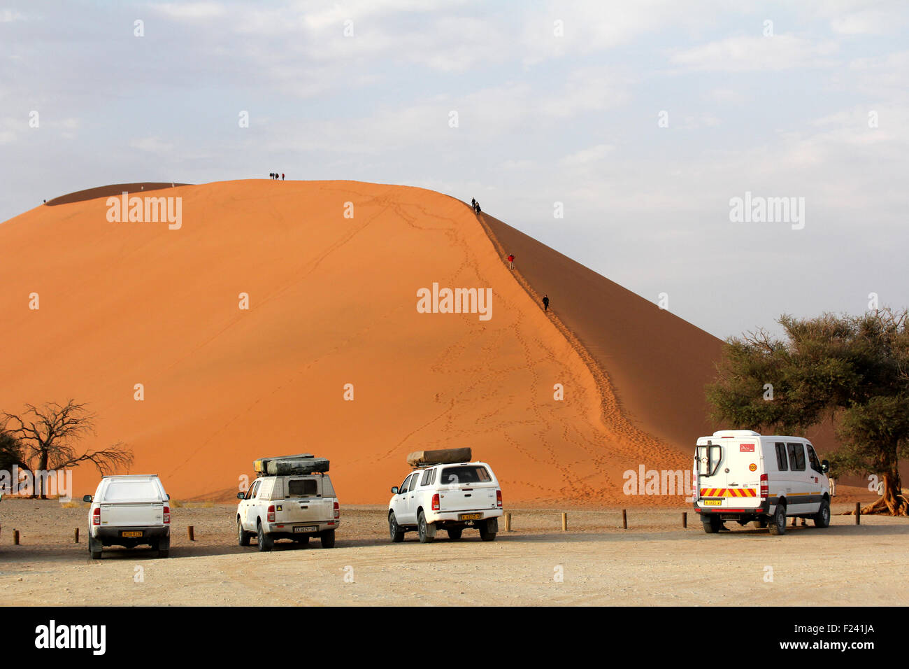 Sand dune number 45 in the Namib Desert near  Sossusvlei  ,famous tourist site.Namiibia Stock Photo