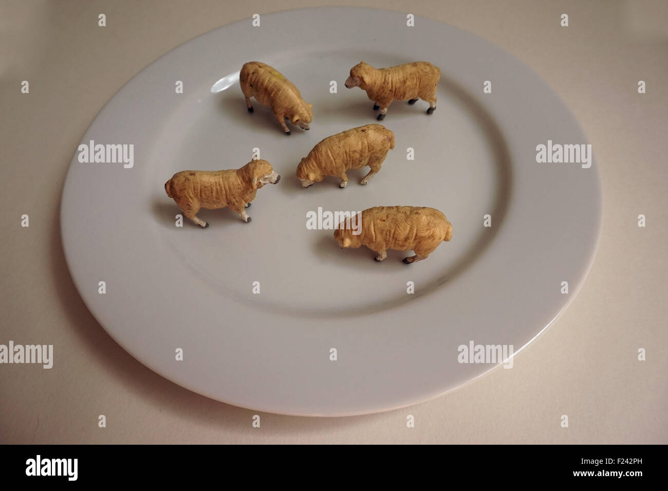 Toy farm animals - sheep on a plate Stock Photo