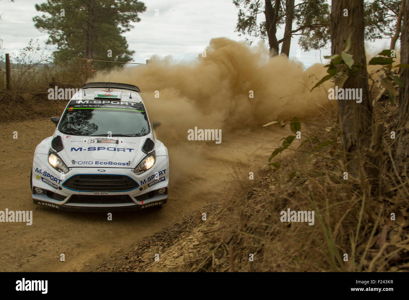 Coffs Harbour, Australia. 11 September, 2015. Elfyn Evans, M-Sport ...