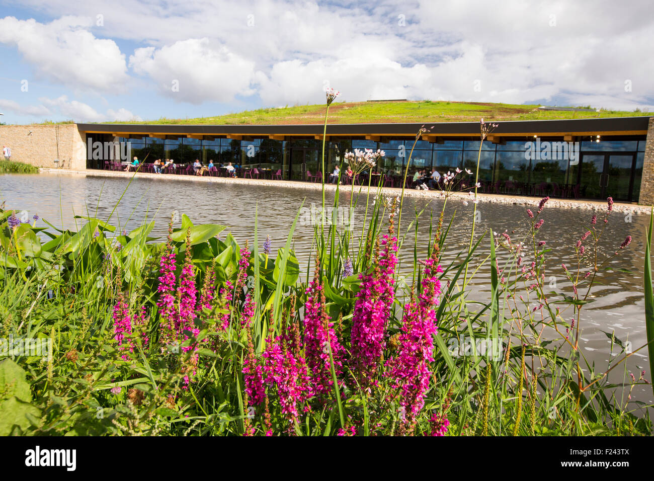 The New Gloucester Service Station on the M5 motorway, UK, is a green roofed building with eco credentials that serves and sells locally sourced food. Stock Photo