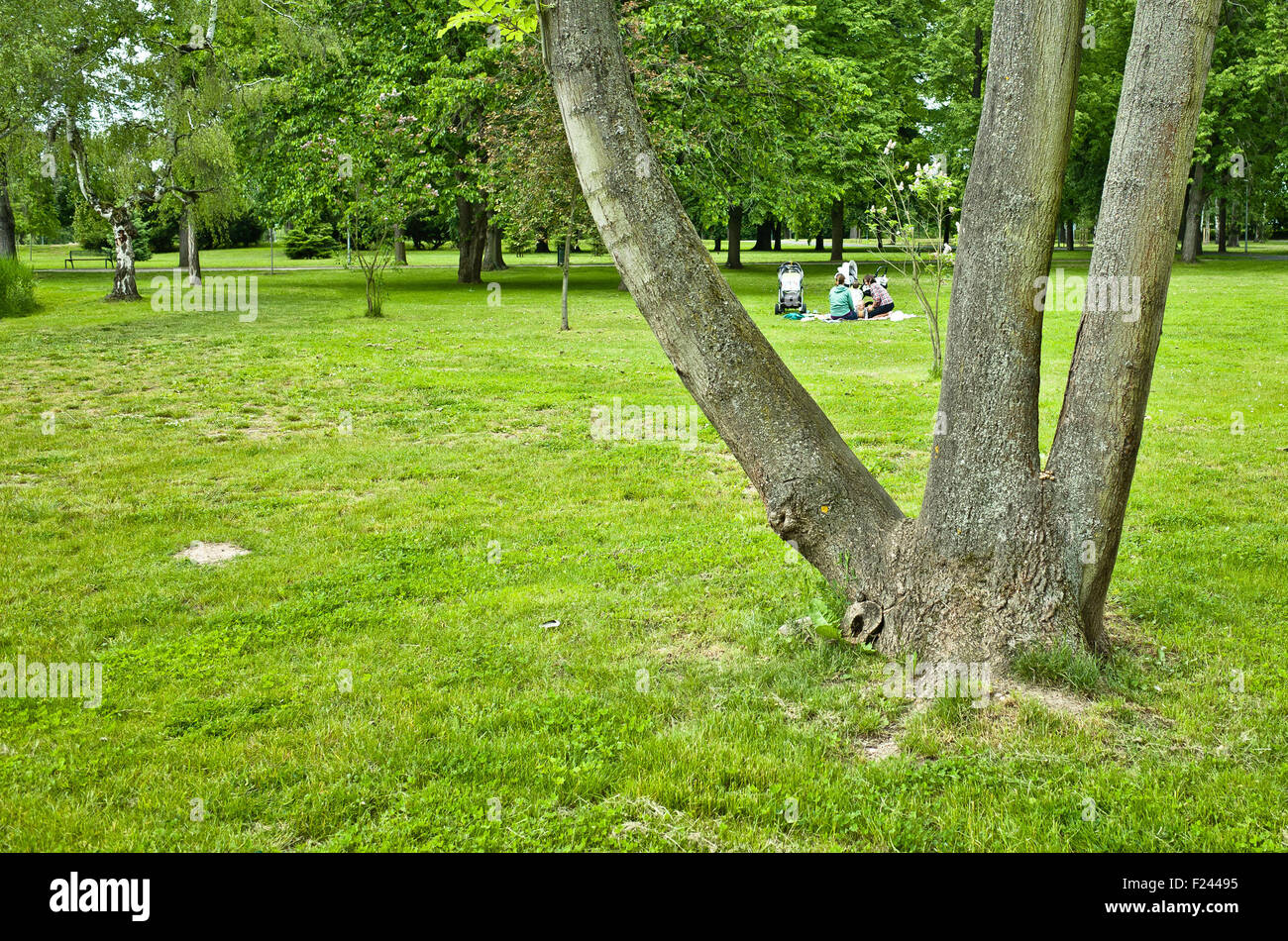 two women and children doing a picnic in the park Stock Photo