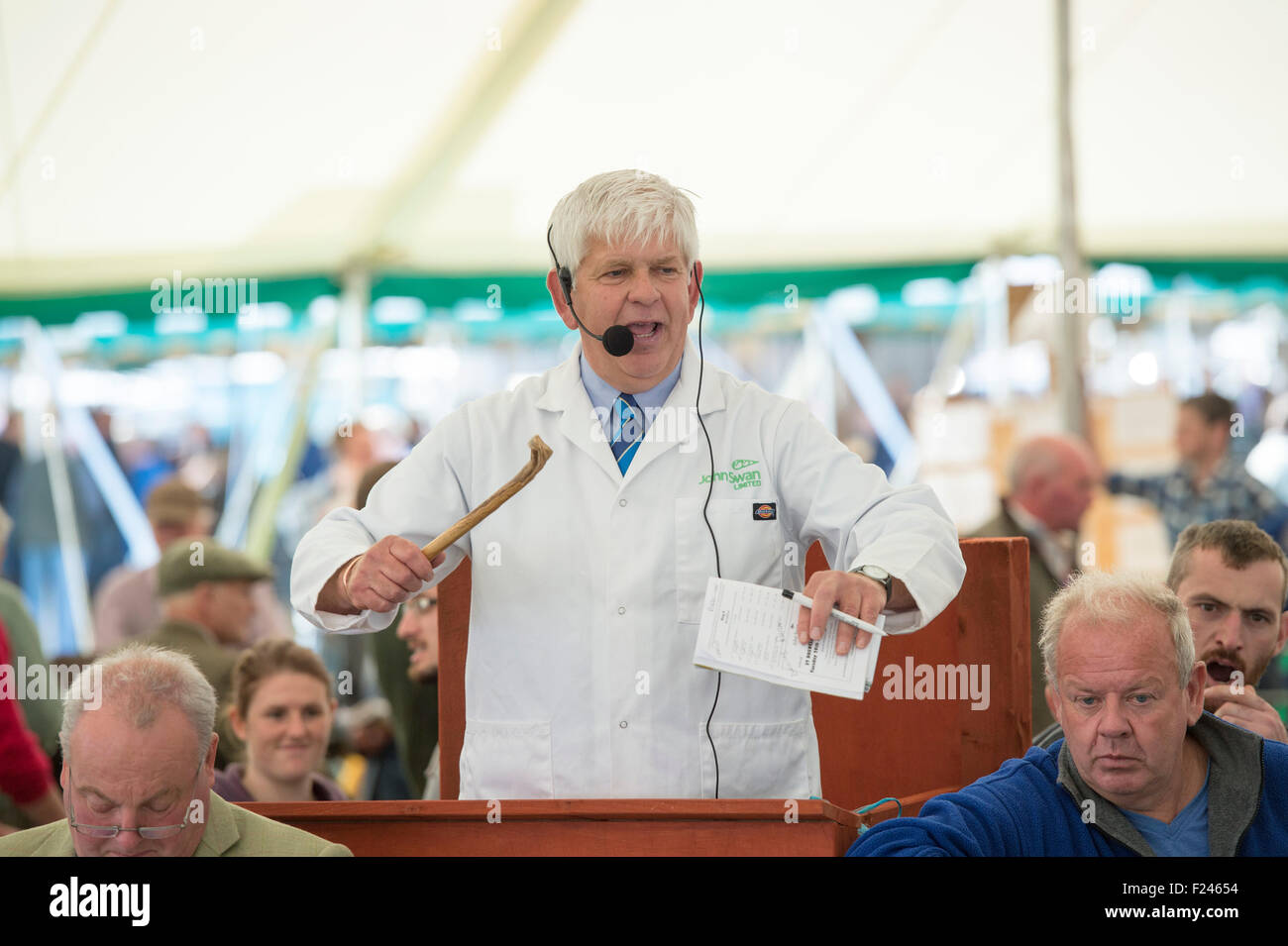 Kelso, UK. 11th September, 2015. the 2015 CYDECTIN Kelso Ram Sales