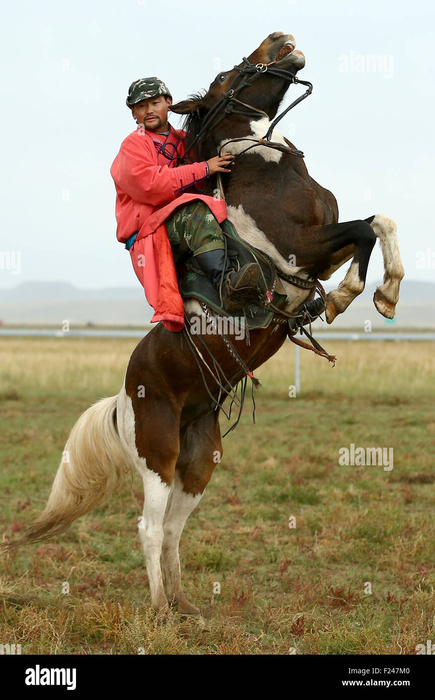 Xilin Gol. 11th Sep, 2015. A Mongolian rider tames a horse at the Phoenix Horse Field in the suburb of Xilin Hot in north China's Inner Mongolia Autonomous Region, Sept. 11, 2015. Known as the 'Capital of Horses', Xilin Gol Meng boasts of its fine natural condition for raising horses. Mongolian riders at the Phenix Horse Field still use traditional ways to tame horses. Credit:  Chen Jianli/Xinhua/Alamy Live News Stock Photo
