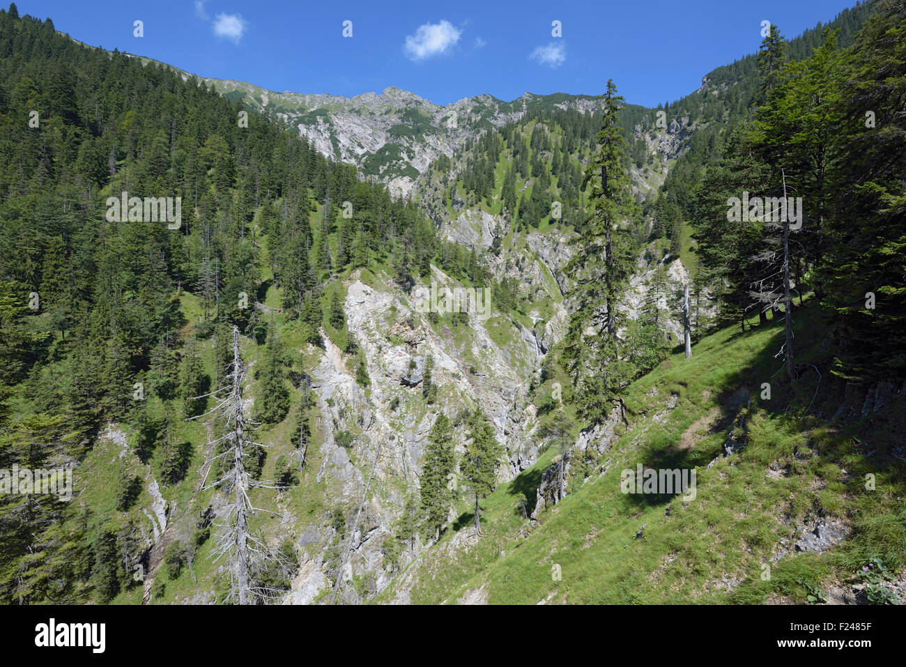 hiking trail through a forest canyon to mountain Schellschlicht, Grainau, Germany Stock Photo