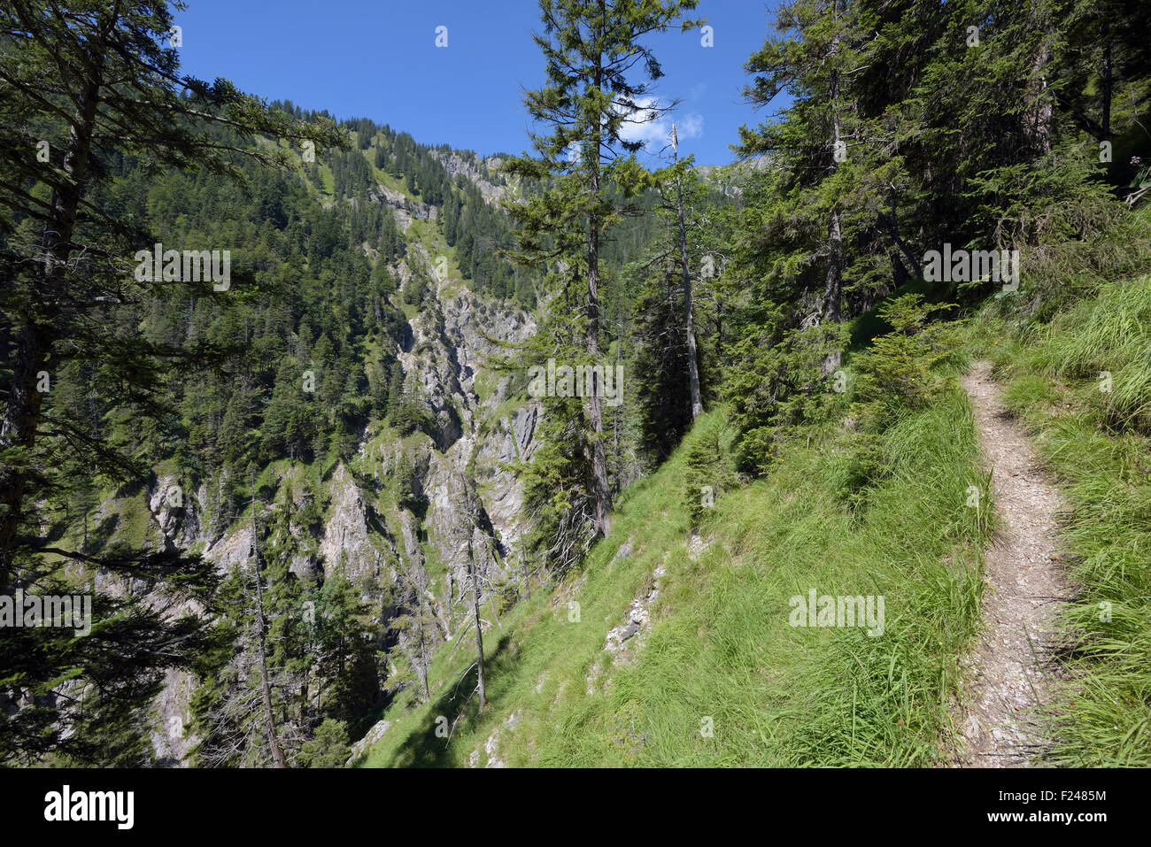 hiking trail through a forest canyon to mountain Schellschlicht, Grainau, Germany Stock Photo