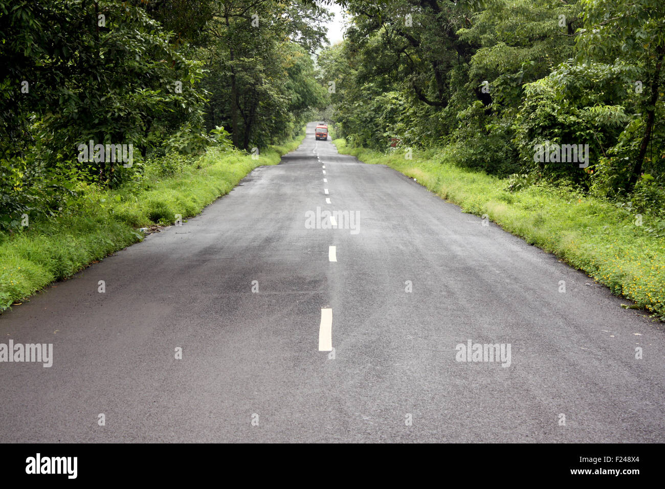 A lone state transport bus traveling through a road in the beautiful jungles of Indi Stock Photo