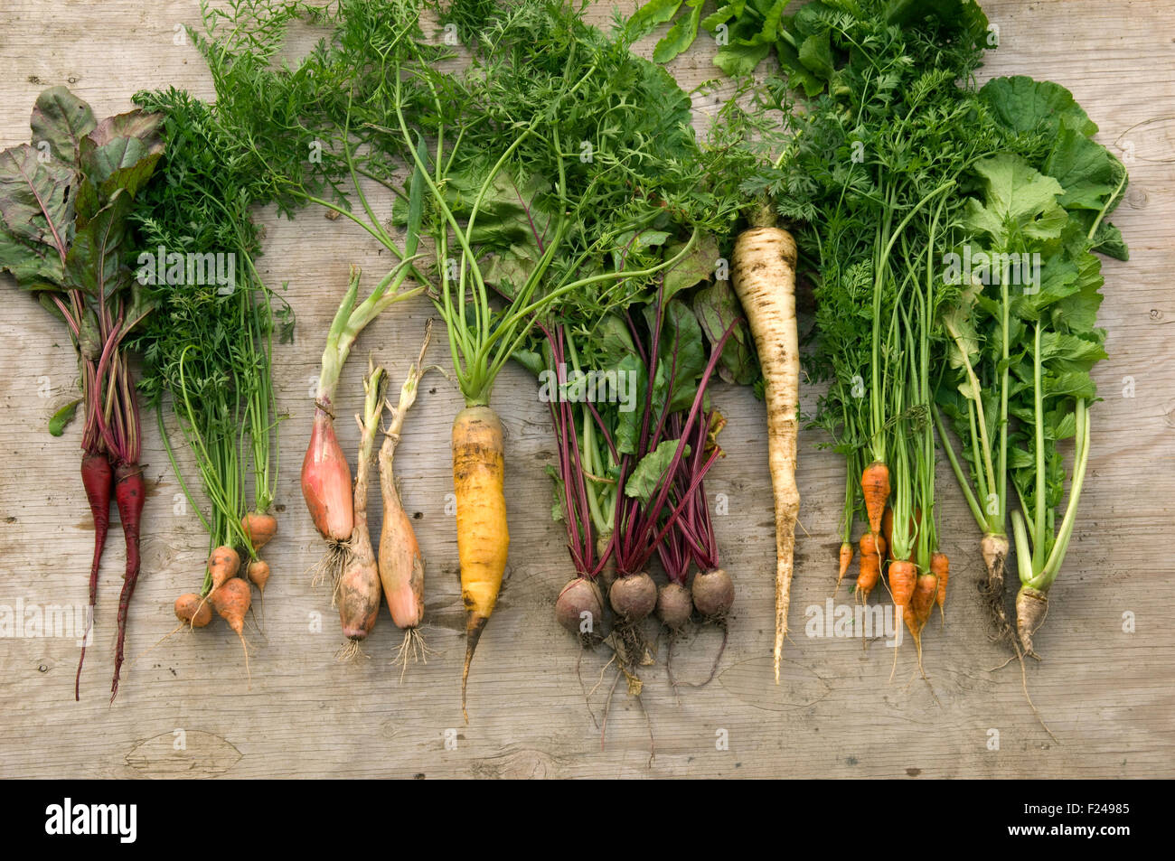 A selection of English root vegetables including carrots, parsnips