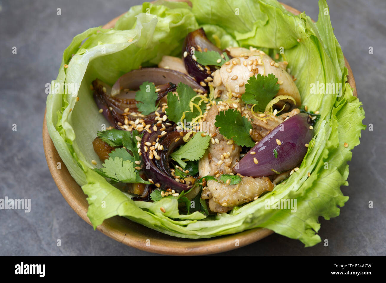 Paleo diet food, chicken with lemon, sesame and oregamo, supposedly based on 'cave man' Palaeolithic foods for health. a UK Stock Photo