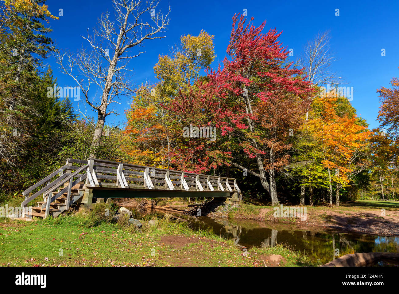 A pedestrian bridge over a autumn stream Stock Photo - Alamy