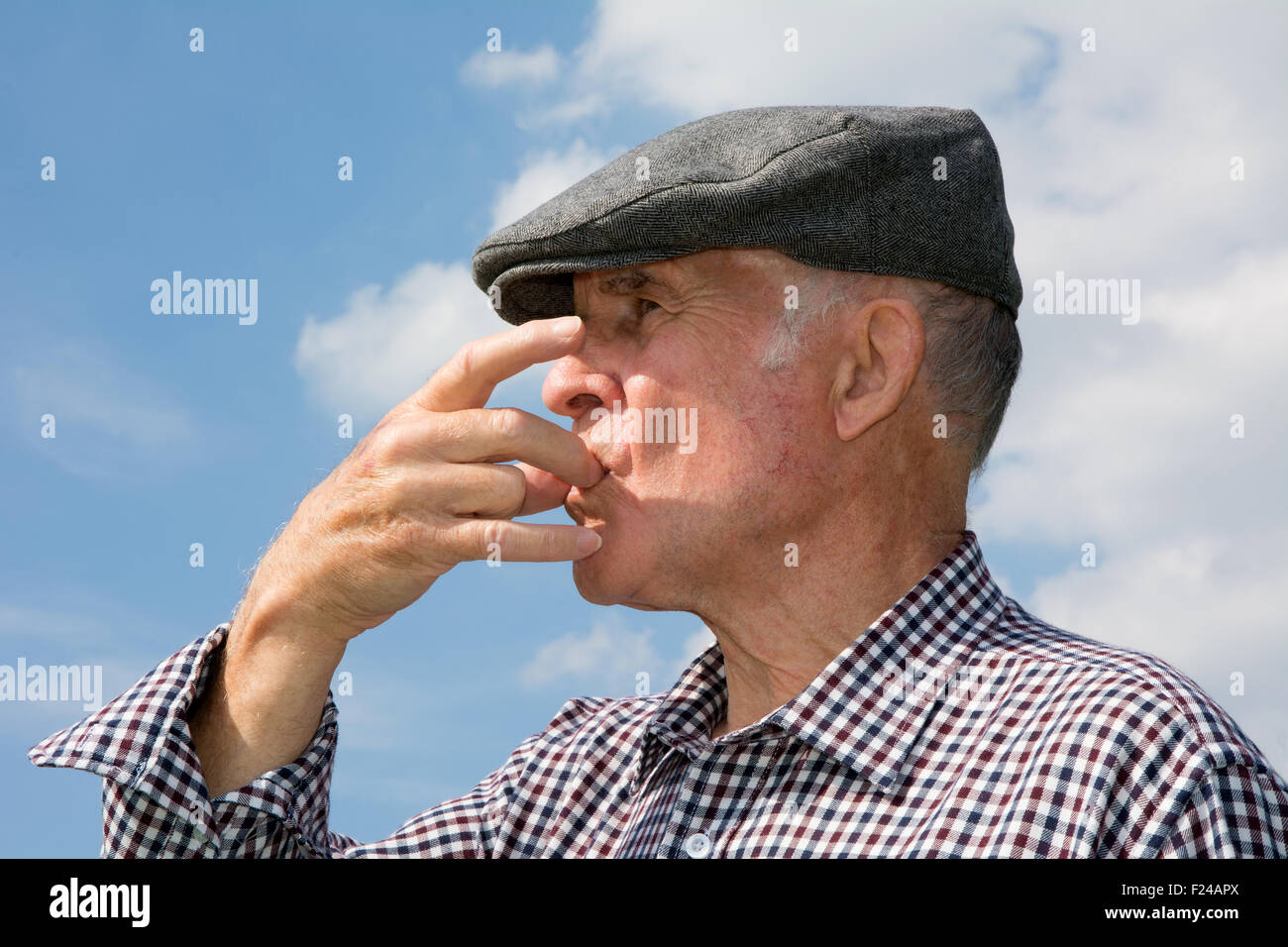 ELDERLY FARMER WHISTLING SHEEP DOG Stock Photo Alamy