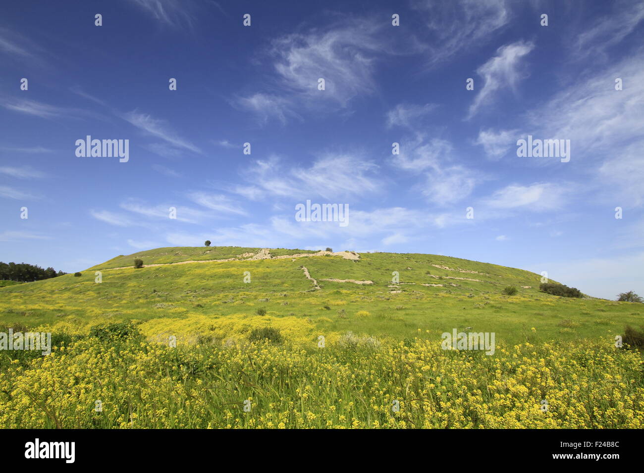 Israel, Shephelah, a view of the eastern side of Tel Lachish the site of the biblical Lachish Stock Photo