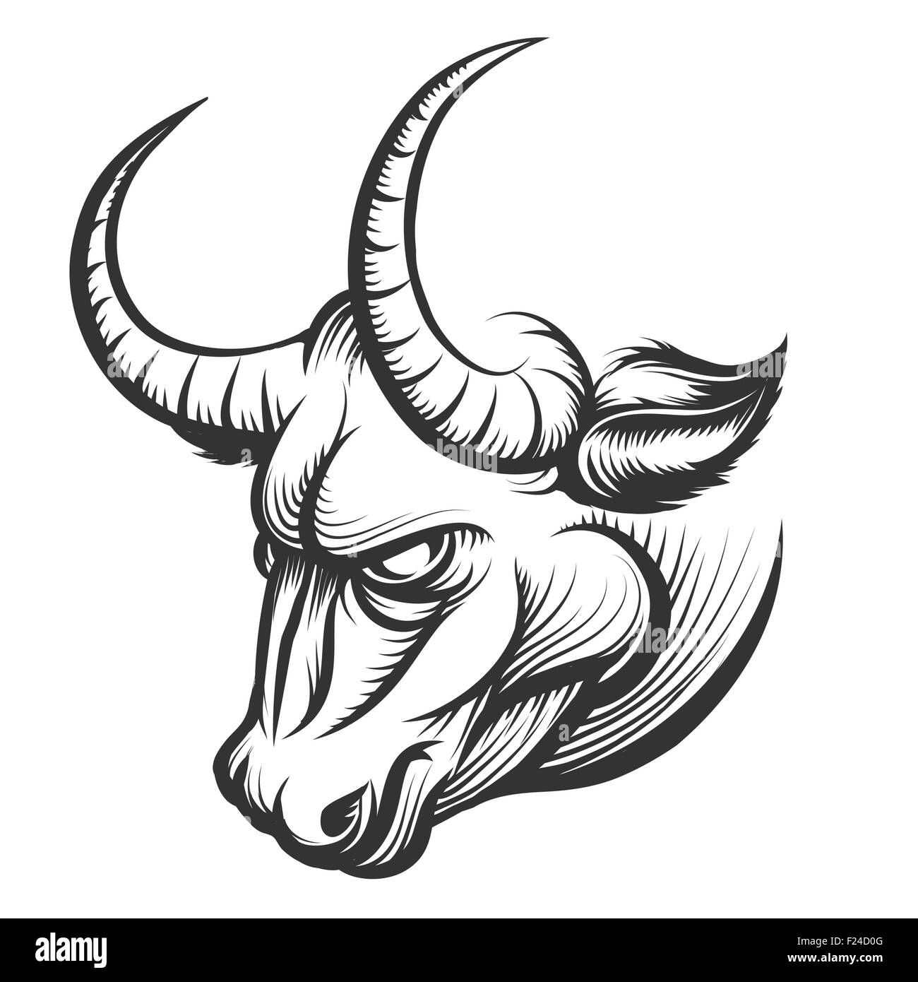 Angry Bull head. Illustration in engraving style. Isolated on white. Stock Vector