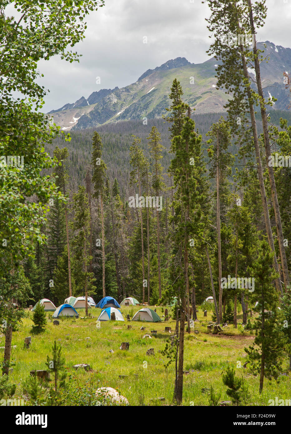 Silverthorne, Colorado - A group campsite at the edge of the Eagles Nest Wilderness Area, part of White River National Forest. Stock Photo