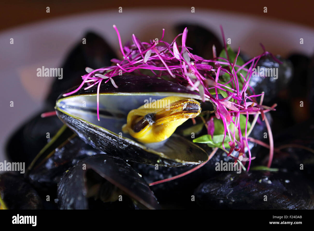 Mussels served in Lunenburg, Nova Scotia, Canada. The fishing town is