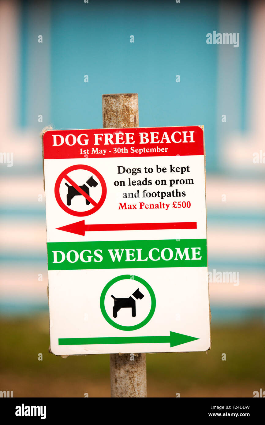 A sign about dog free zones by Beach huts in Brightlingsea, Essex, UK