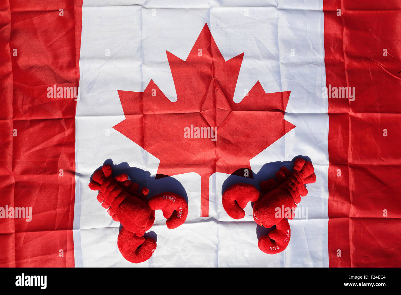 Soft toy lobsters on a Canadian flag. Nova Scotia is a renowned for its