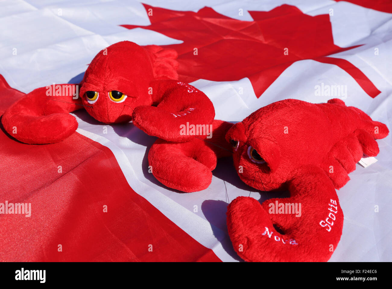 Soft toy lobsters on a Canadian flag. Nova Scotia is a renowned for its lobster fishing. Stock Photo