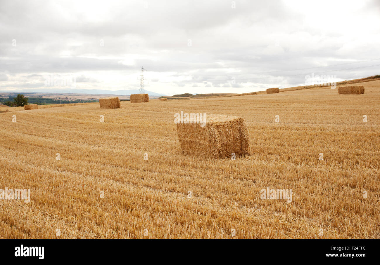 Bales of hay, spanish countryside Stock Photo Alamy