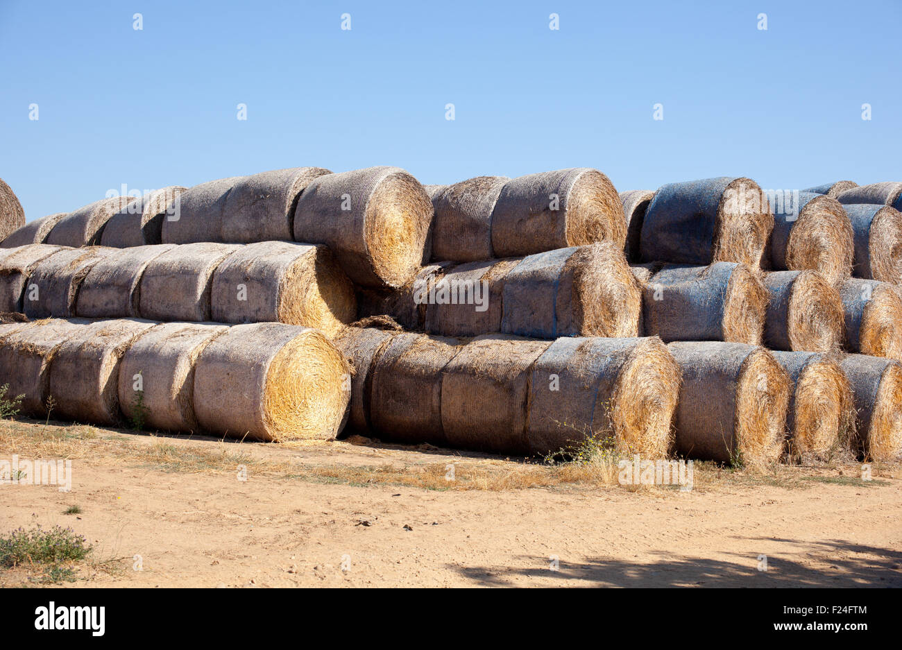 Bales of hay on a field after harvest Stock Photo - Alamy