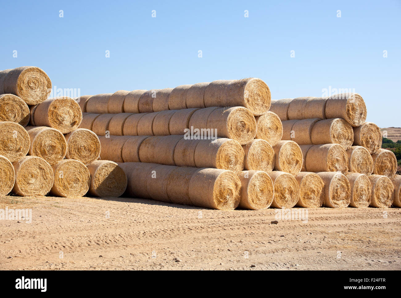 Bales of hay on a field after harvest Stock Photo - Alamy