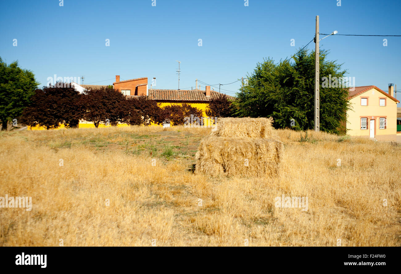 Bales of hay, spanish countryside Stock Photo Alamy
