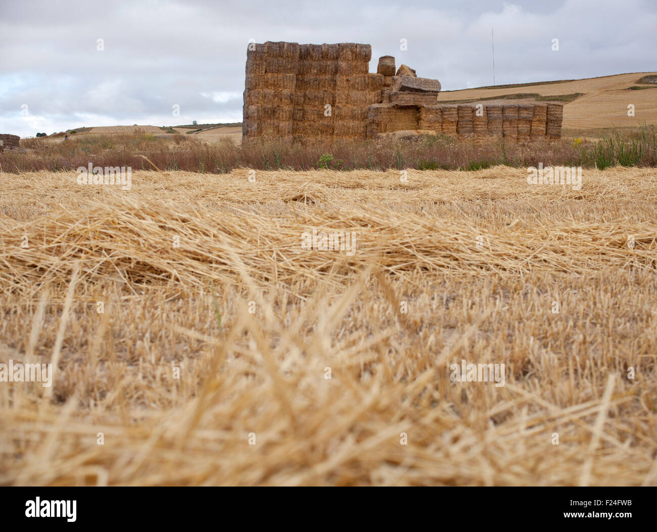 Bales of hay, spanish countryside Stock Photo Alamy
