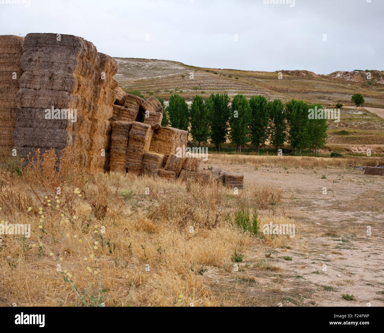 Bales of hay, spanish countryside Stock Photo Alamy