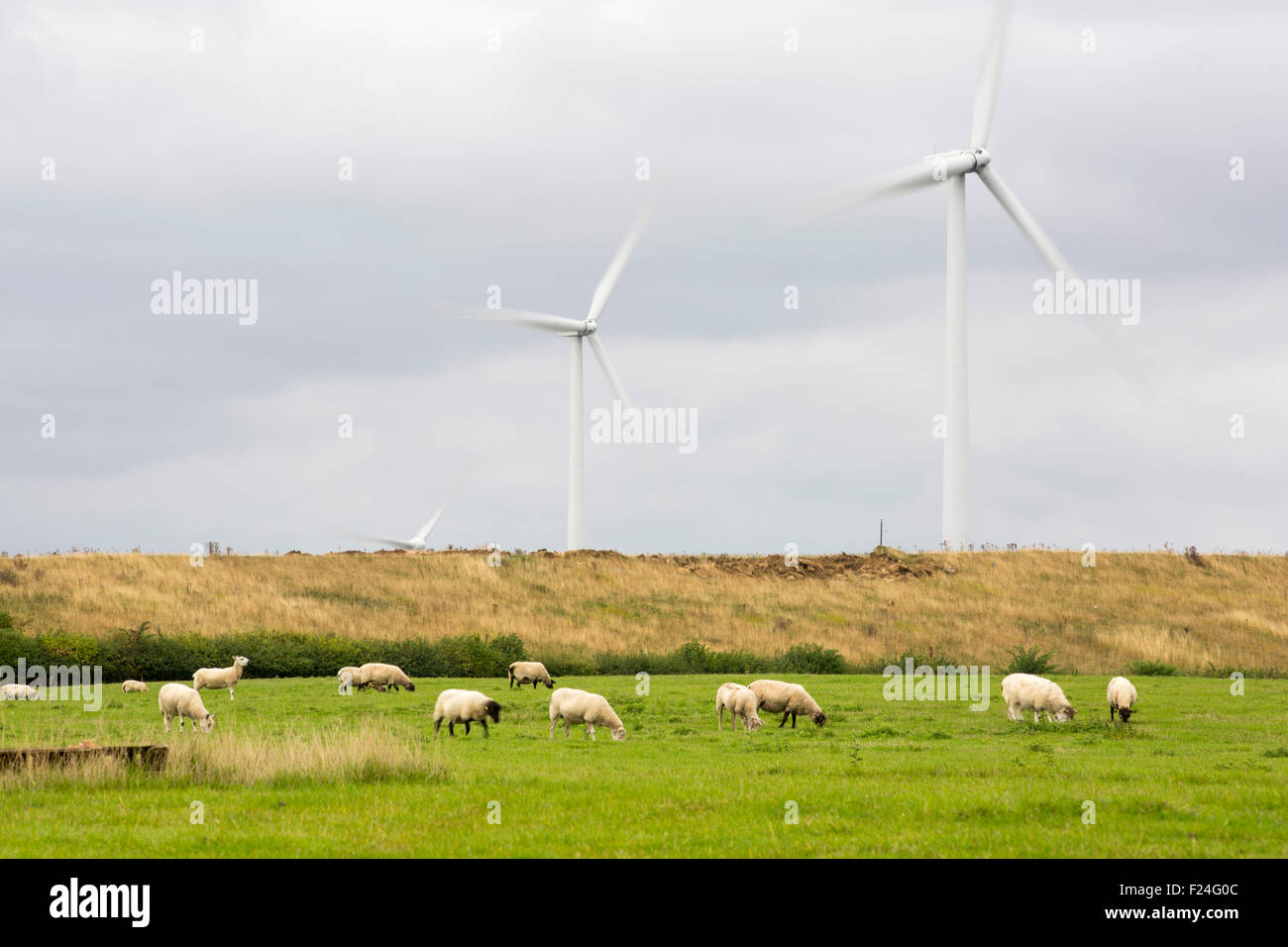 Yelvertoft wind farm next to Cranford landfill site near Cranford, Northamptonshire, UK. Stock Photo