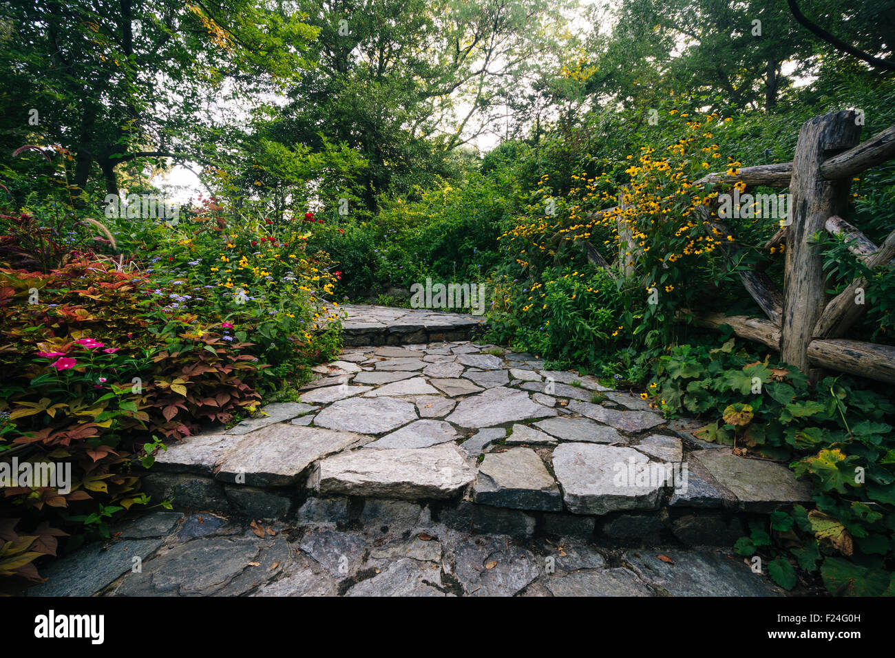 Steps and flowers at the Shakespeare Garden, in Central Park, Manhattan, New York Stock Photo
