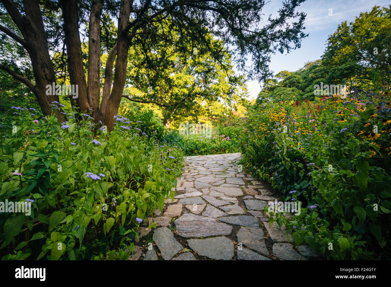 Path and flowers at the Shakespeare Garden, in Central Park, Manhattan, New York Stock Photo Alamy