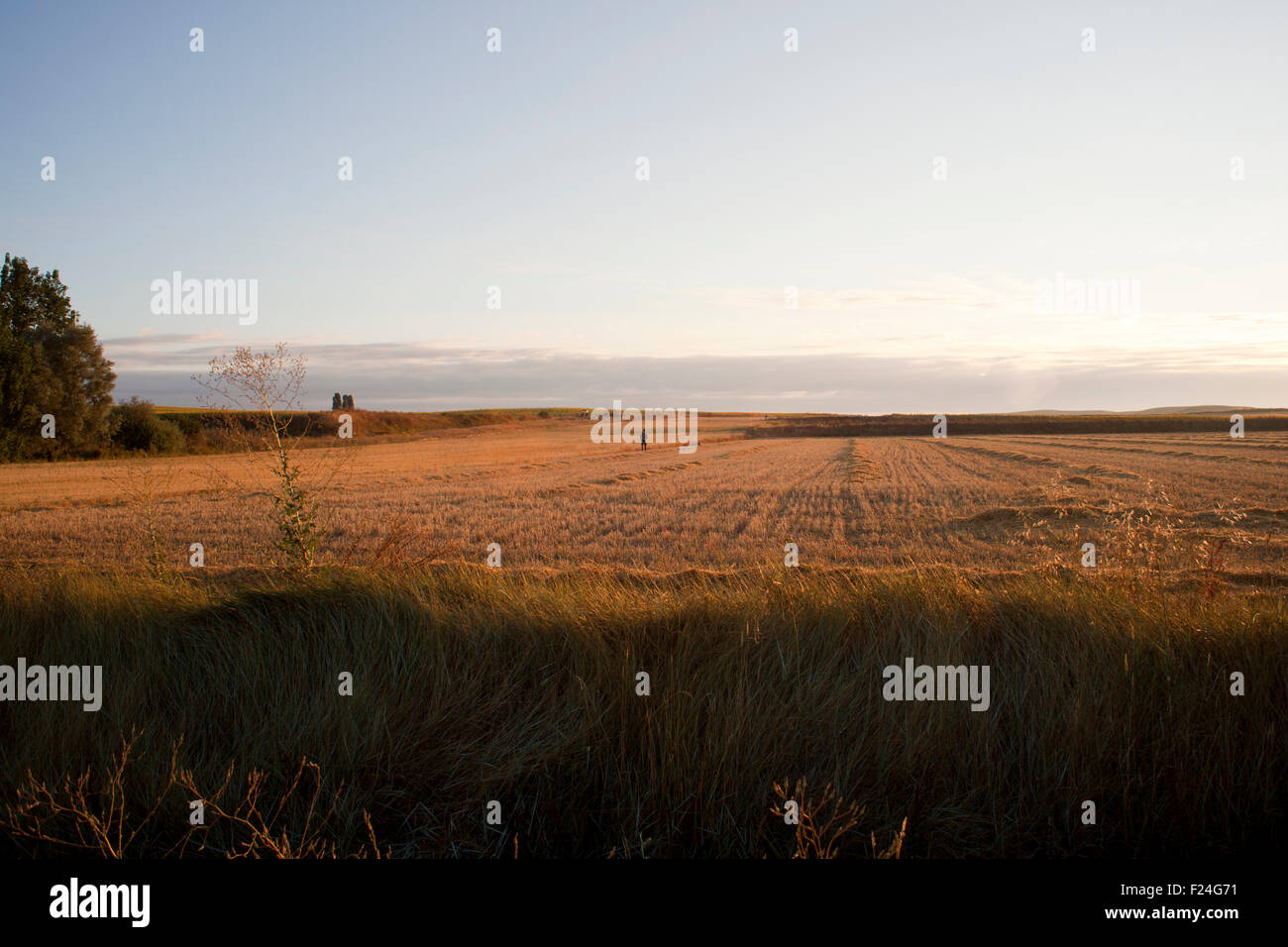 Spanish field hires stock photography and images Alamy