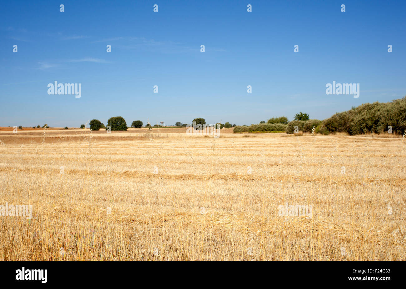 Tennis court with a rural view hi-res stock photography and images - Alamy