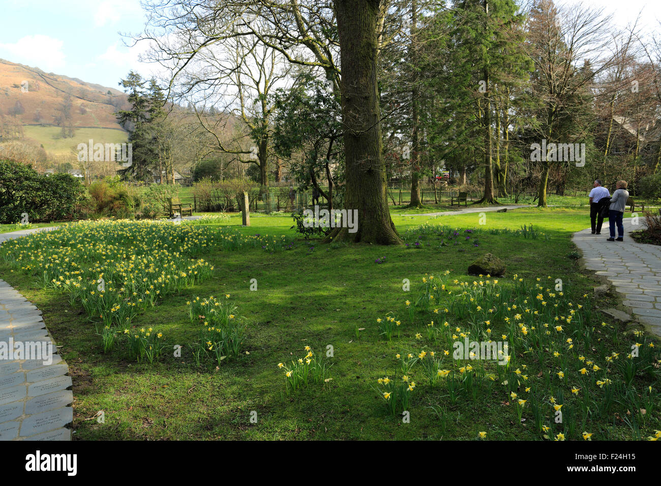 Wordsworth daffodils hires stock photography and images Alamy