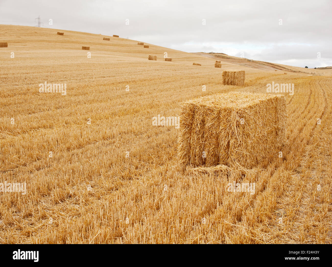 Bales of hay, spanish countryside Stock Photo Alamy
