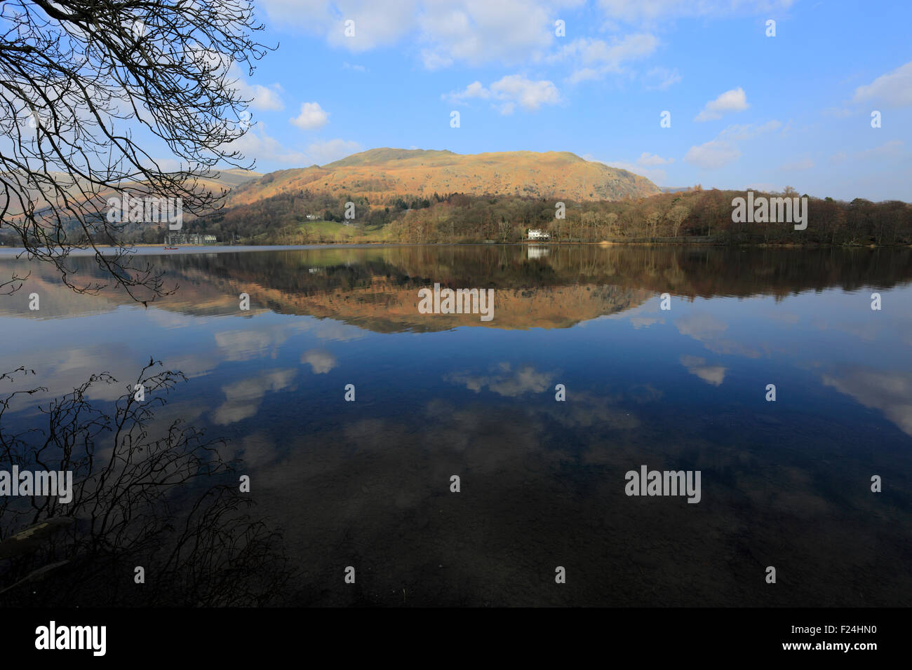 Summer, Heron Pike Fell reflected in Grasmere, Lake District National Park, Cumbria, England, UK Stock Photo