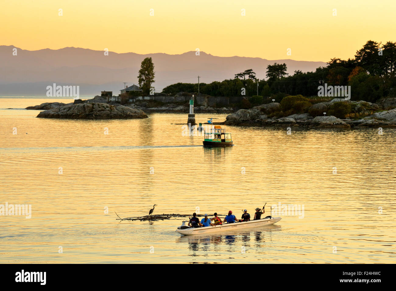 Rowing team in outrigger boat in Port of Victoria at dusk-Victoria, British Columbia, Canada. Stock Photo