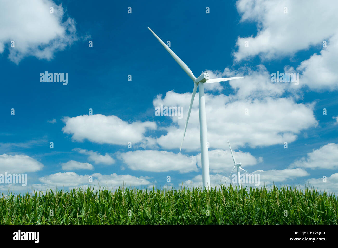 Wind farms in central Indiana, USA Stock Photo Alamy