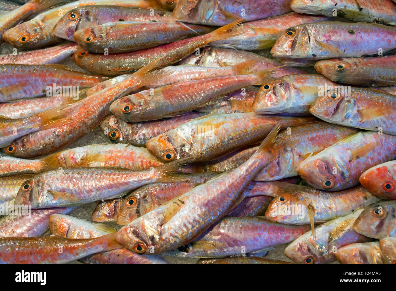 Fresh red mullet for sale on a fish market Stock Photo Alamy
