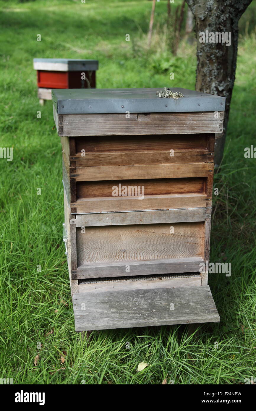 Beehives at Standen House, Sussex, UK Stock Photo