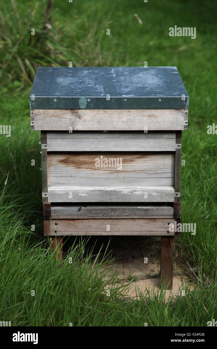 Beehives at Standen House, Sussex, UK Stock Photo